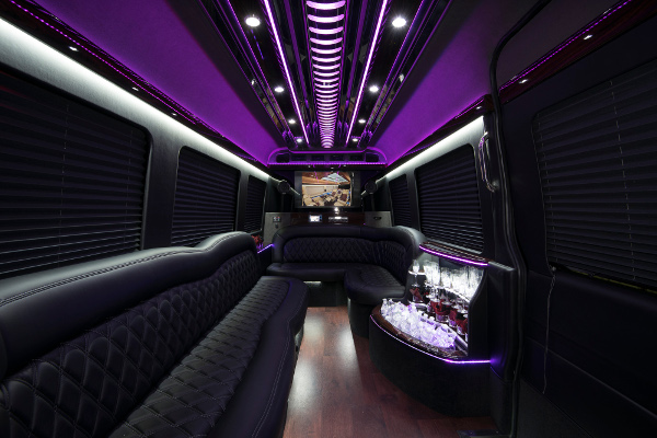 12 Passenger Party Buses Ontario