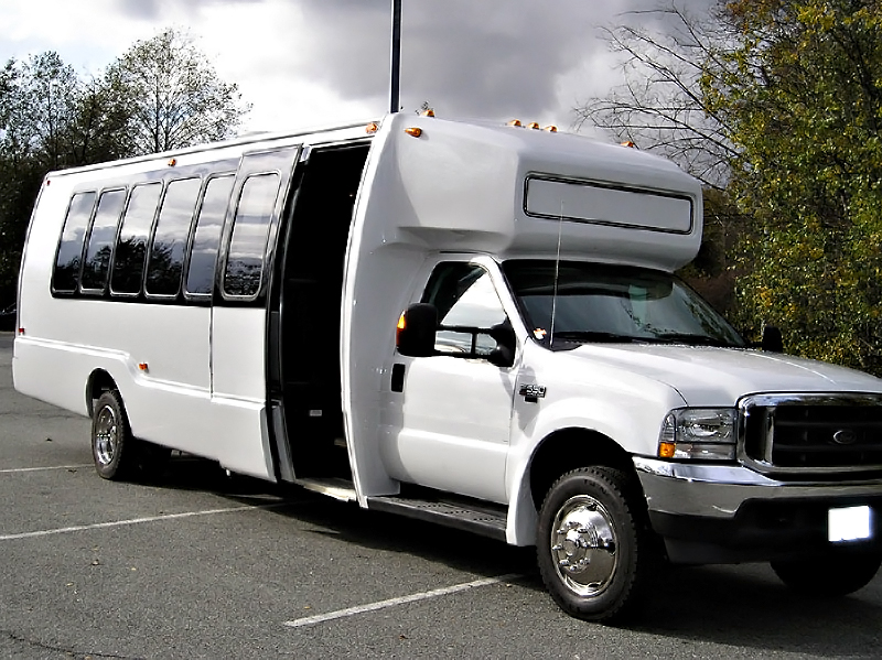 Ontario 22 Passenger Party Bus